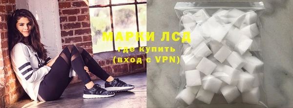 ПСИЛОЦИБИНОВЫЕ ГРИБЫ Баксан