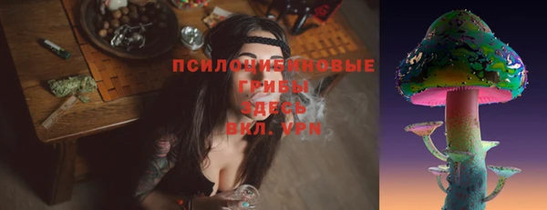 ПСИЛОЦИБИНОВЫЕ ГРИБЫ Баксан