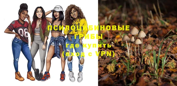 хмурый Балабаново