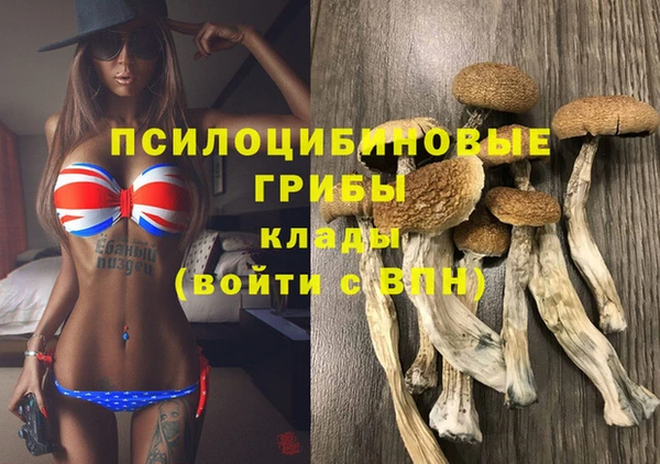 ПСИЛОЦИБИНОВЫЕ ГРИБЫ Баксан