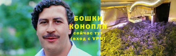 ПСИЛОЦИБИНОВЫЕ ГРИБЫ Баксан